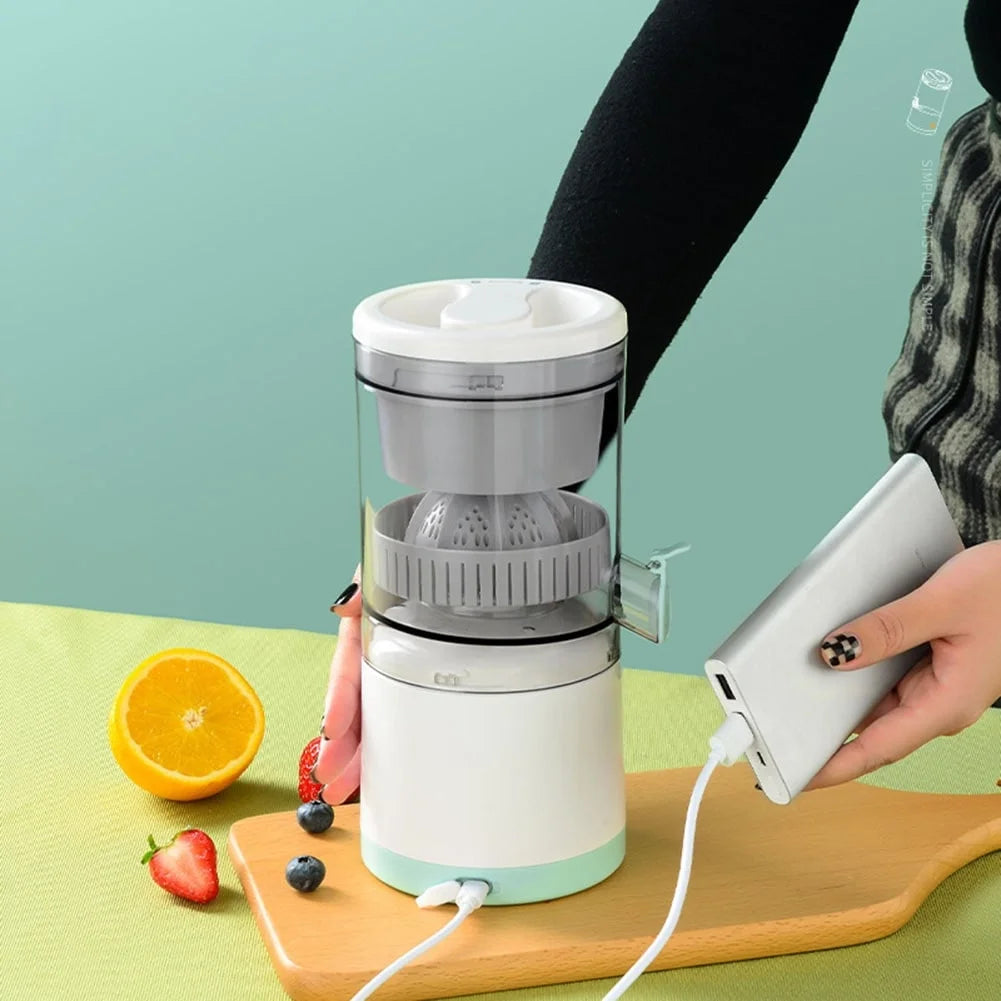 Portable Mini Electric Fruit Mixer