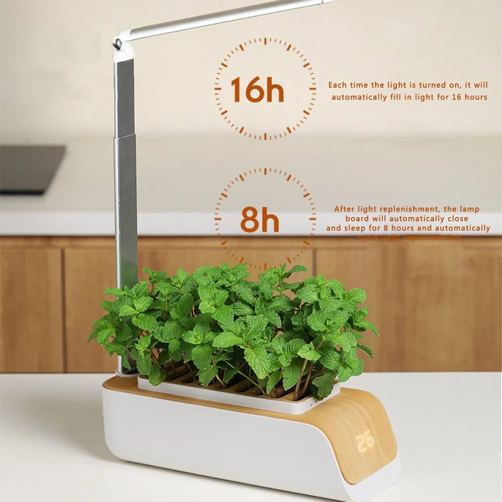 Smart Flower Pot 